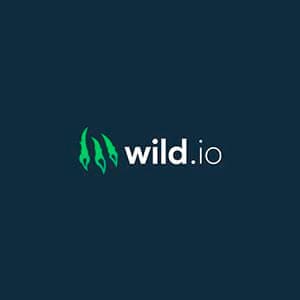 Wild.io Casino logo